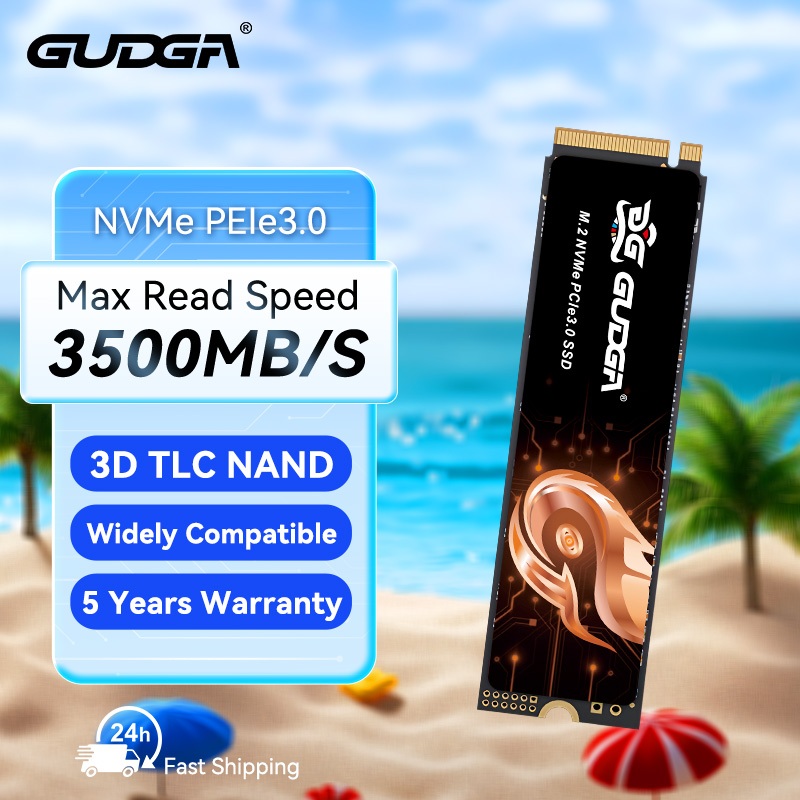 Gudga SSD M2 NVME PCLE 3.0 128GB 256GB 512GB Ổ cứng thể rắn cho máy ...