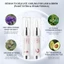 ICONSIGN Bộ lông mi và lông mày chiết xuất thực vật Cysteamine 90 ngày SPER STAY Lash Curls