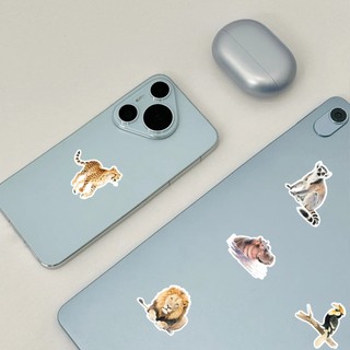 Bộ 50 Động Vật Châu Phi Graffiti Hoạt Hình Miếng Dán DIY Laptop Điện Thoại Hành Lý Cốc Chống Thấm Nước Miếng Dán