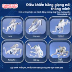 [Qilemeng] Đồ chơi cho chó Robot Điều khiển từ xa tương tác với Robot đóng thế mô phỏng bom nước cho bé trai — ảnh 4
