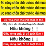 TRUELOVE 2 Giày Cho Chó Phản Quang Mềm Mại Thú Cưng Thoáng Khí Có Thể Điều Chỉnh Với Đế Chống Trơn Trượt Bảo Vệ Chân Cho Chó Tập Đi — ảnh 2