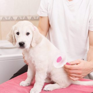 Bàn chải mèo Bàn chải lông mèo, Bàn chải đánh bóng tự làm sạch cho chó Mèo, Thảm chải tóc rối để Massage thú cưng