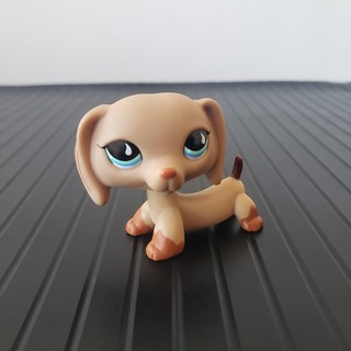 Cửa hàng thú cưng nhỏ nhất 518 Dachshund Dog Tan Brown w / Blue Teardrop Eyes LPS Đồ chơi chó con