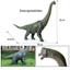 SauroposeidonJurassic Mô Phỏng Khủng Long Chắc Chắn Động Vật Mô Hình Đồ Chơi Sóng Đông Lớn Rắn Rồng Poseidon Brachiosaurus Thằn Lằn Biển Thần Rồng