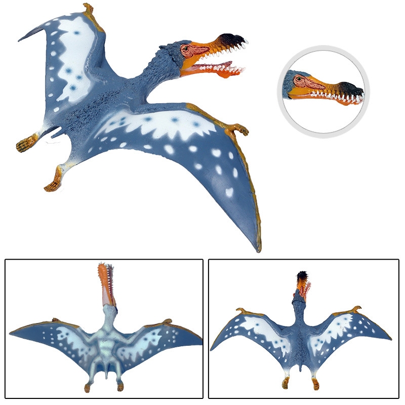 Mô phỏng mô hình thằn lằn bay động vật khủng long đồ chơi Fengshen pterosaur ma thuật cổ đại pterosaur không răng pterosaur trẻ em cậu bé trang trí Quetzalcoatlus