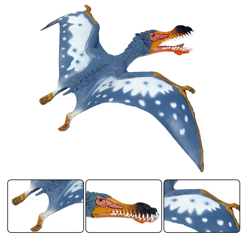 Mô phỏng mô hình thằn lằn bay động vật khủng long đồ chơi Fengshen pterosaur ma thuật cổ đại pterosaur không răng pterosaur trẻ em cậu bé trang trí Quetzalcoatlus