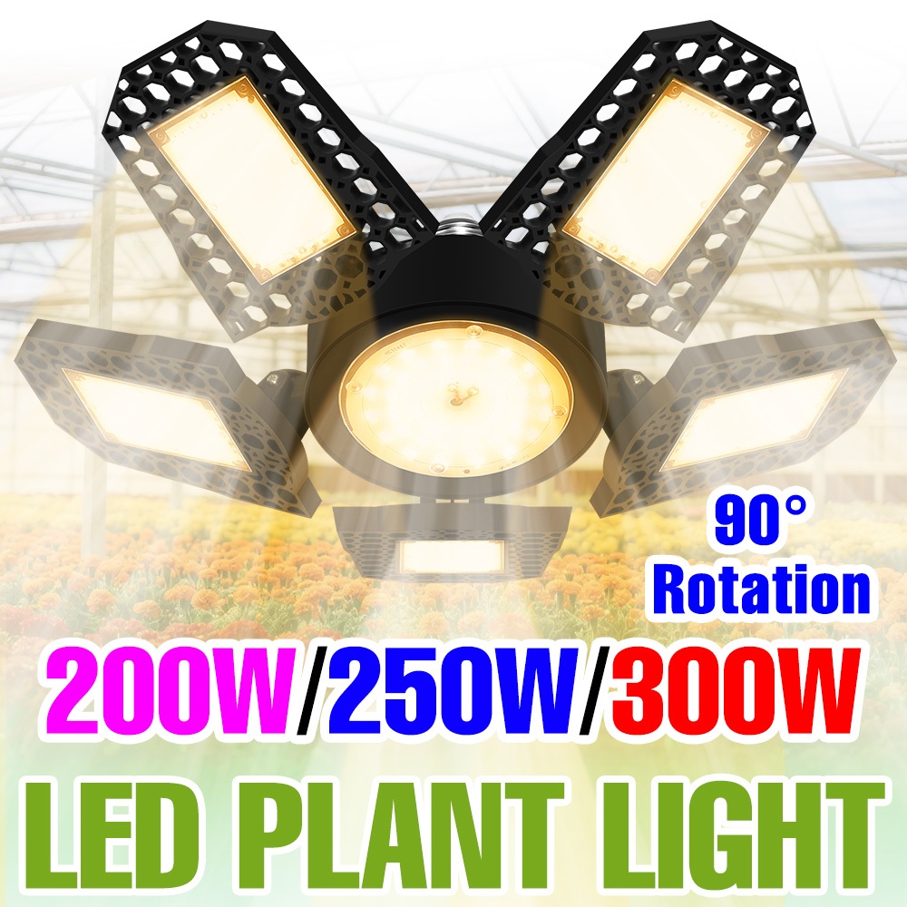 300W Full Spectrum LED Grow Light Trong nhà Hoa Seed Filling Light Nhà ...