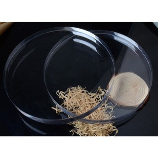 Tấm Acrylic trong suốt tròn Tấm nhựa Plexglass Dia 10mm-200mm Độ dày 1 2 3 4 5 6 8 10mm