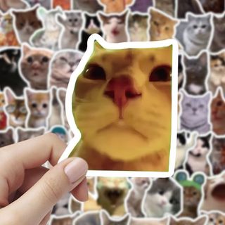100 Chiếc Mèo Vui Nhộn MEME Hoạt Hình Dễ Thương Miếng Dán Đồ Chơi Văn Phòng Phẩm Đàn Guitar Xe Đạp Laptop DIY Dán