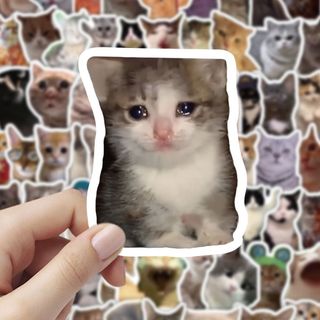 100 Chiếc Mèo Vui Nhộn MEME Hoạt Hình Dễ Thương Miếng Dán Đồ Chơi Văn Phòng Phẩm Đàn Guitar Xe Đạp Laptop DIY Dán