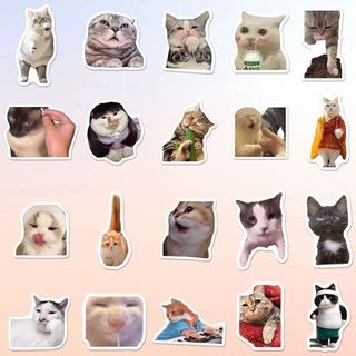 100 Chiếc Mèo Vui Nhộn MEME Hoạt Hình Dễ Thương Miếng Dán Đồ Chơi Văn Phòng Phẩm Đàn Guitar Xe Đạp Laptop DIY Dán