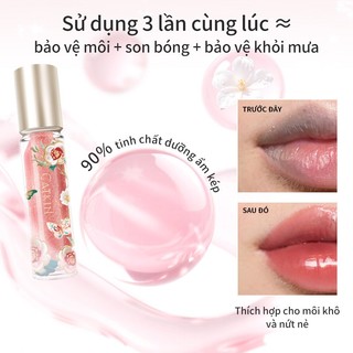 Son Lì CATKIN Serum Plumping Lip Gloss Son bóng môi 90% tinh chất dinh dưỡng Son kem môi Son dưỡng môi hương bạc hà mát lạnh