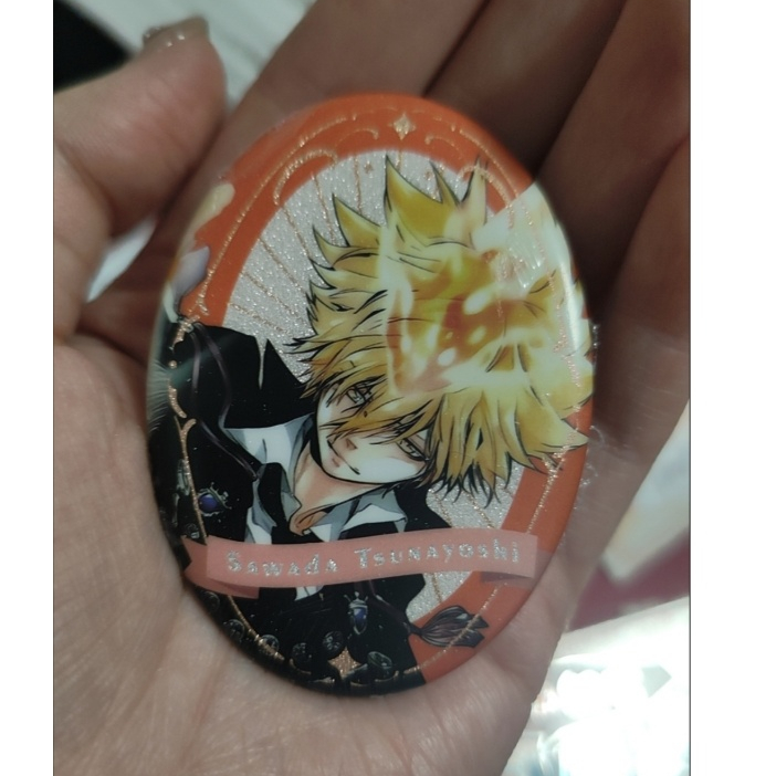 Katekyo Hitman tái sinh! Bộ 6 hộp mù huy hiệu hình bầu dục Tsunayoshi Sawada | Nút ghim Anime + Thẻ PVC Merch