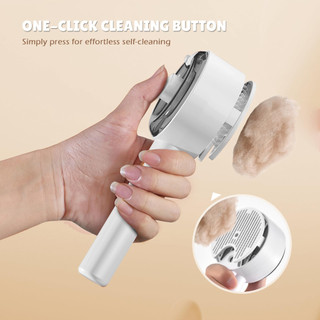 Bàn chải mèo Bàn chải chó Lược chải mèo Bàn chải hơi nước cho thú cưng để rụng Spritz Defur Lược dành cho mèo Chó Bàn chải hơi nước