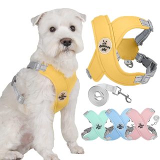 Dây xích cho chó, Dây nịt Vest thú cưng có thể điều chỉnh, Dây nịt chó phản quang có dây xích cho thú cưng nhỏ vừa đi bộ ngoài trời