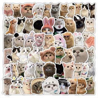 100 Chiếc Mix Fun Cat MEME Hoạt Hình Dễ Thương Dán Đồ Chơi Văn Phòng Phẩm Đàn Guitar Xe Đạp Laptop DIY Dán