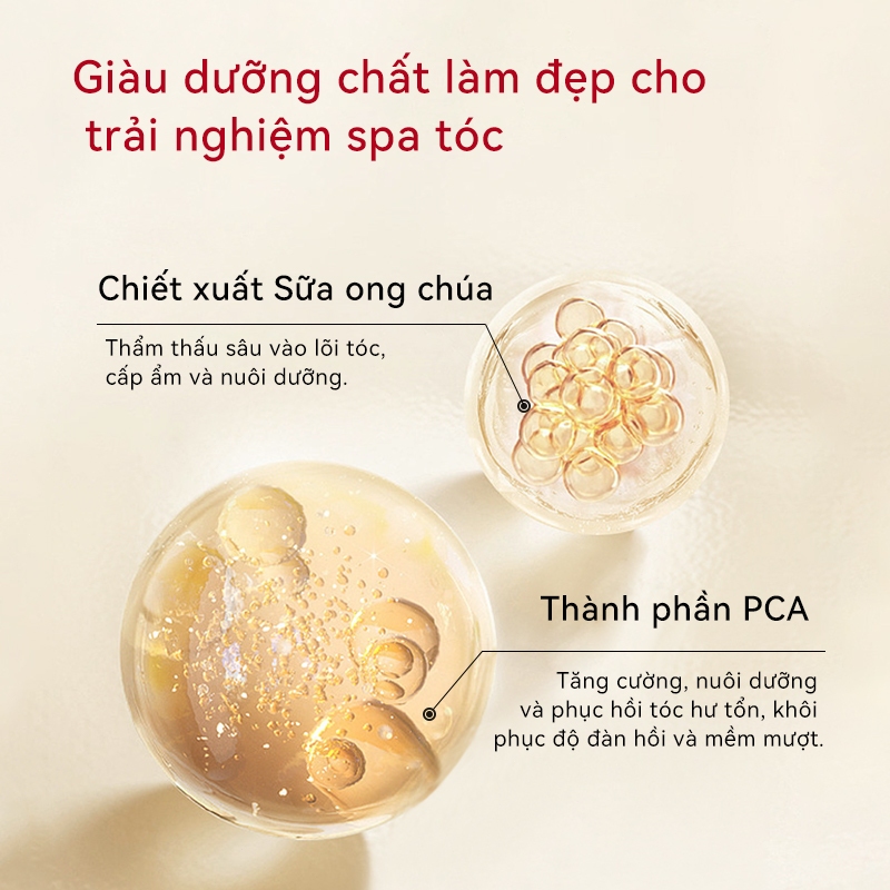 ✨2 món, giảm 5%✨[FINO] Dầu Gội Tinh Chất Beauty Compound 550ml | Xây dựng lại chất lượng tóc hư tổn | Mạnh mẽ và mạnh mẽ khỏe mạnh | Thương hiệu Nhật Bản - Loại dưỡng ẩm