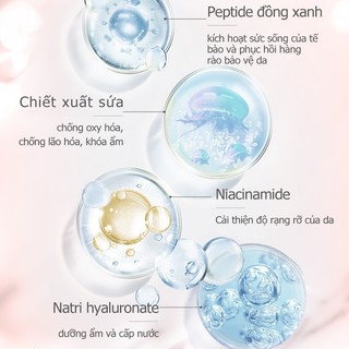CATKIN 3-COLORS LOOSE FINISHING POWDER Phấn phủ mịn kiểm soát dầu chống thấm nước