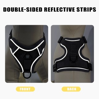 Dây nịt và dây xích mèo - Dây xích mèo có thể điều chỉnh chống vỡ với dải phản quang Dây xích thú cưng Dây nịt chó để đi bộ chó mèo