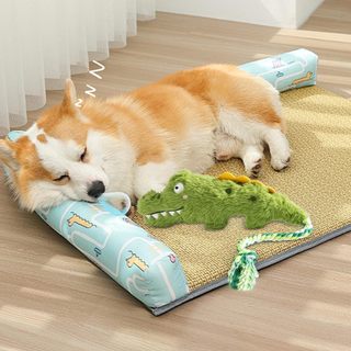 Đồ chơi cho chó, Đồ chơi cho chó sang trọng Thú nhồi bông Squeaky Nhai mọc răng Đồ chơi mềm cho trong nhà, ngoài trời, Thời gian chơi tập luyện với thú cưng