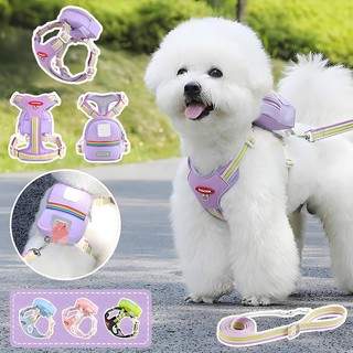 Dây xích cho chó - Dây nịt cho chó có ba lô, Dây nịt thú cưng bằng da Pu phản quang có vòng chữ D cho chó nhỏ, mèo