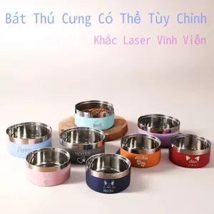 Bát thú cưng bằng thép không gỉ, chống trượt, chống vỡ, dùng cho chó mèo, kèm bát uống, quà tặng