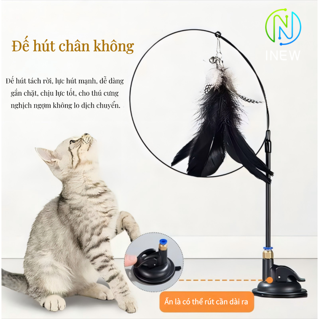 Thiết kế của Cuộn Cốc