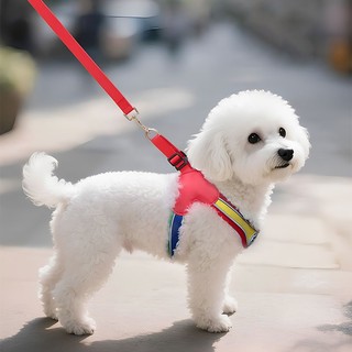 Dây nịt chó Dây xích chó có thể điều chỉnh hình chữ Y có dây phản quang Dây nịt chó không đầy đủ cho chó nhỏ và vừa