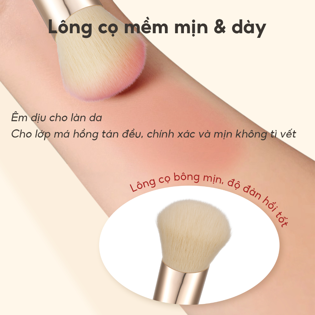 FelinWel - Cọ Tán Má Hồng Đầu Vát Xéo Đa Năng, Lông Cao Cấp Dày Mềm Không Rụng, Thuần Chay, Nhẹ Nhàng Với Da