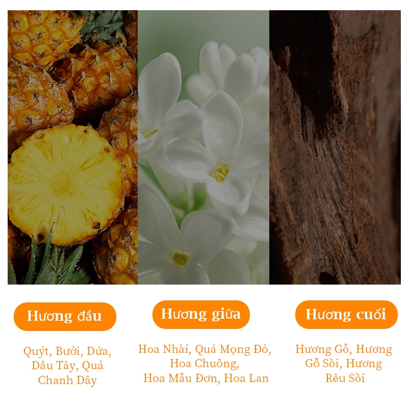 ✨Cái thứ hai nửa giá✨Lovely Chaos Nước hoa UK Luxury 30ml Hương trái cây tươi mát Nước hoa dành cho nữ