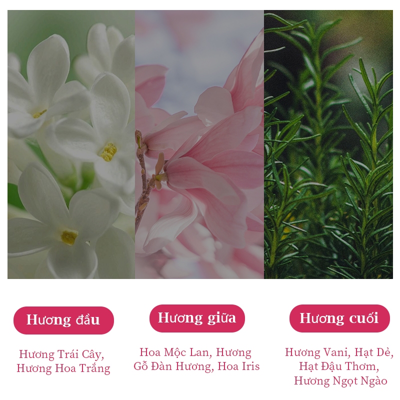 ✨Cái thứ hai nửa giá✨[Forever Nice]Nước hoa UK Luxury 30ml|Hiệp định trái cây ngọt ngào | Hương Thơm Lâu Dài