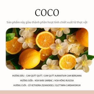 Phụ kiện máy sấy tóc một phần tinh dầu NIPLIFE cho Hd-03