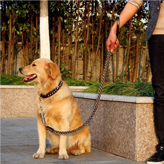 Bộ dây xích chó Bold Chính hãng Da bò cỡ vừa