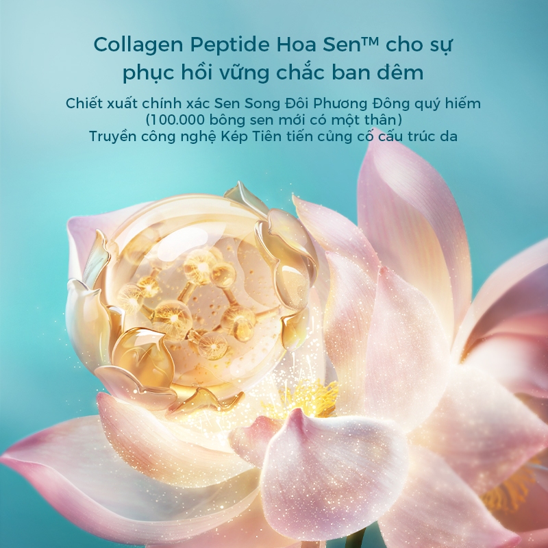 Florasis (Hoa Tây Tử) Bộ nước hoa hồng & sữa dưỡng dòng Rạng rỡ tự nhiên gồm sữa dưỡng săn chắc 100ml và nước dưỡng sáng da 120ml Lotus Radiance— Dưỡng ẩm, làm sáng da, chống lão hóa, mờ nếp nhăn và phục hồi da