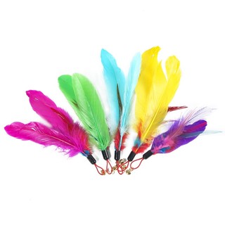 Đồ Chơi Thú Cưng Mèo Tease Stick Thay Thế Đầu Lông Vũ Thay Thế Đầu Lông Vũ Thay Thế Đầu Đồ Chơi Cho Mèo