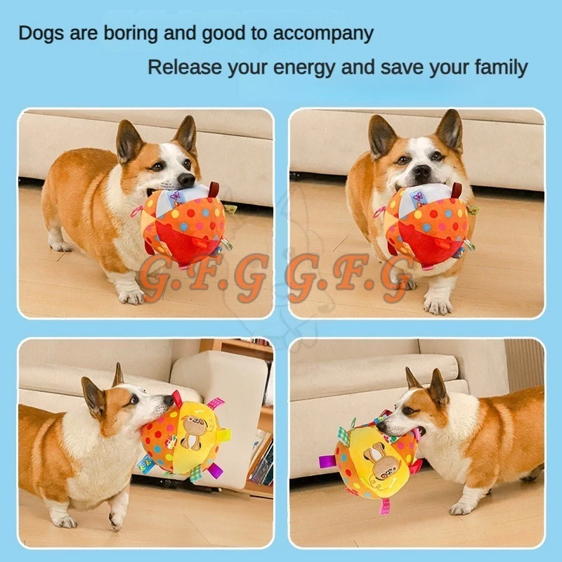 Thú cưng vui chơi với bóng lục lạc