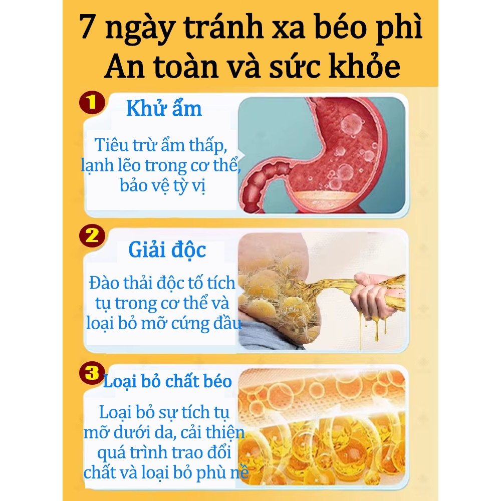 100% không phục hồi nhanh chóng hòa tan chất béo dư thừa, giảm mỡ bụng, hòa tan hiệu quả mỡ bụng, giảm mỡ bụng hiệu quả