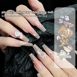 [savemoneyeveryday] 1 Hộp Aurora Flakes Abalone Nails Charm Mỏng Tự Nhiên Không Đều Lát Đá Sequin Làm Móng Tay Nghệ Thuật Trang Trí Salon DIY [vn]