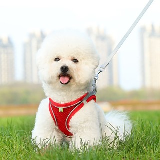 Vest lưới thoáng khí cho chó, áo ngực kèm dây xích đi bộ, đồ dùng thú cưng
