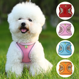 Vest lưới thoáng khí cho chó, áo ngực kèm dây xích đi bộ, đồ dùng thú cưng