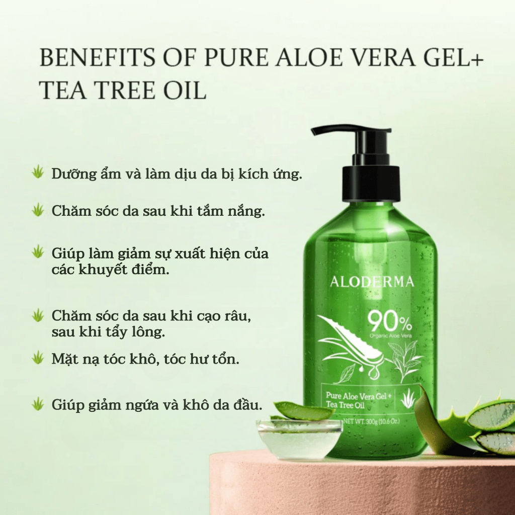 Chất Lượng Ô Tiêu Chuẩn