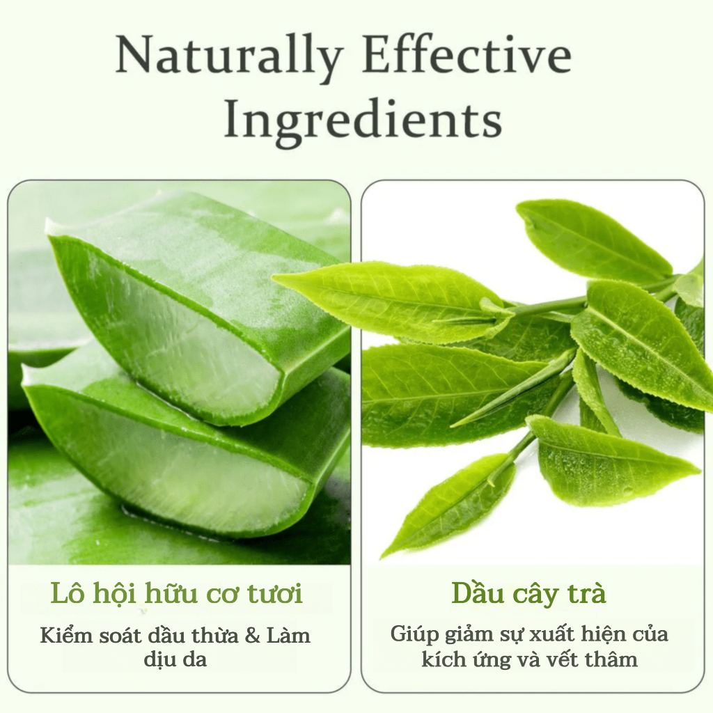 Thiết Kế Của Ô Cao Cấp