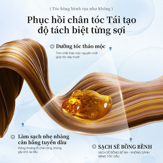 Dầu gội JKCK kiểm soát dầu và chống gàu hiệu quả 500ml
