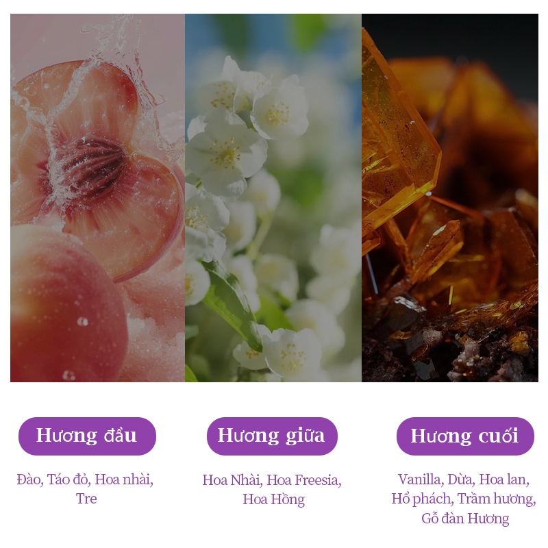 ✨Cái thứ hai nửa giá✨[METUN] Nước Hoa 35ml Ghi chú Woody ngọt ngào hoa-Fruity Nước Hoa Nữ Nước hoa lâu trôi