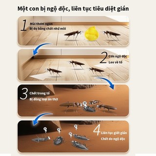 [Sản phẩm mới] Mồi gián, mồi gián sinh học, mồi gel gián, đuổi gián, mồi gián Nhật Bản