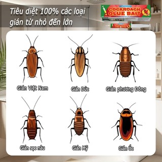 [Sản phẩm mới] Mồi gián, mồi gián sinh học, mồi gel gián, đuổi gián, mồi gián Nhật Bản