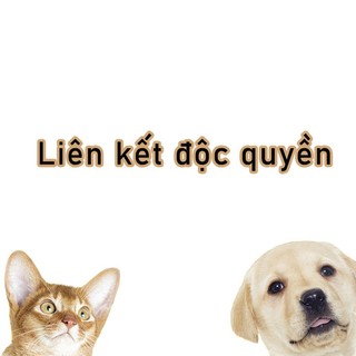 Sản phẩm hư hỏng sẽ được phát hành lại thông qua một liên kết chuyên dụng và các bộ phận thay thế cũng sẽ có sẵn thông qua liên kết này.