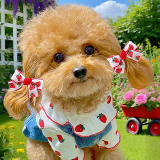 Kẹp Tóc Cho Chó Nơ Chó Dễ Thương Trong Tóc - Phụ Kiện Cho Chó Cho Yorkie Puppy Poodle Mèo Chó Thú Cưng Mũ Đội Đầu