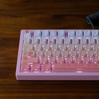 Rơi Sakura Bên Tỏa Sáng Qua Keycaps PBT Dye-sub Cherry Profile Keycap Tùy Chỉnh Keycaps Tương Thích Với Cherry Gateron MX Switch
