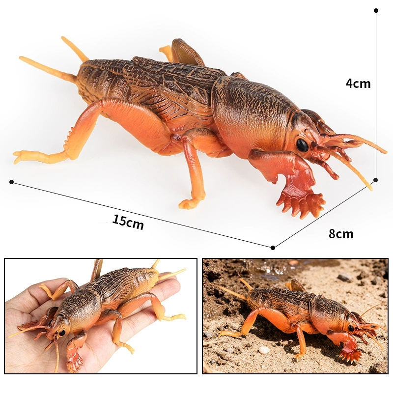 Trẻ em mô phỏng côn trùng mô hình đồ chơi động vật mayflies dế ve sầu nút tre côn trùng túi lớn côn trùng xẻng bọ cánh cứng đồ trang trí